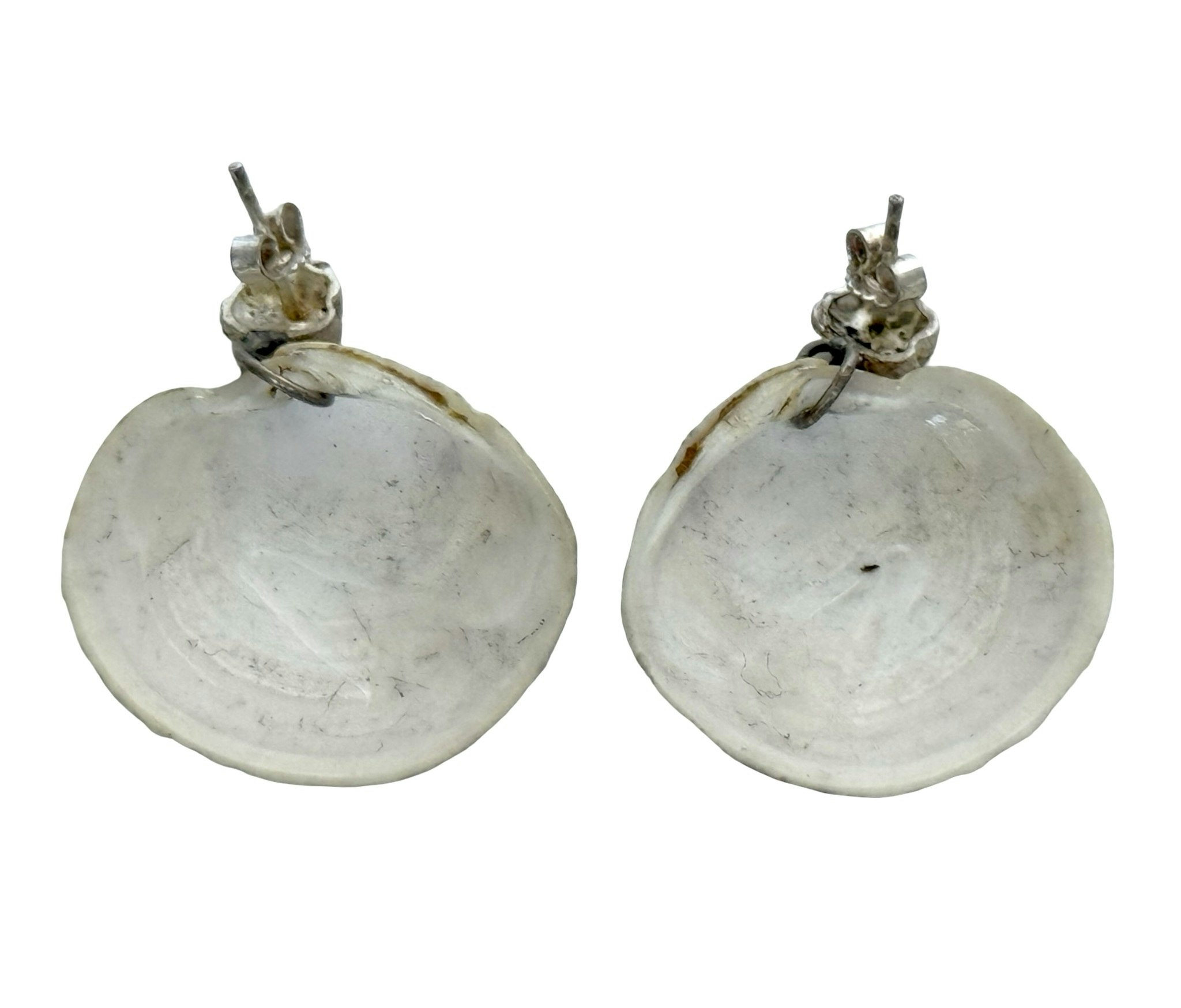 Strandsnäcka Örhängen i silver