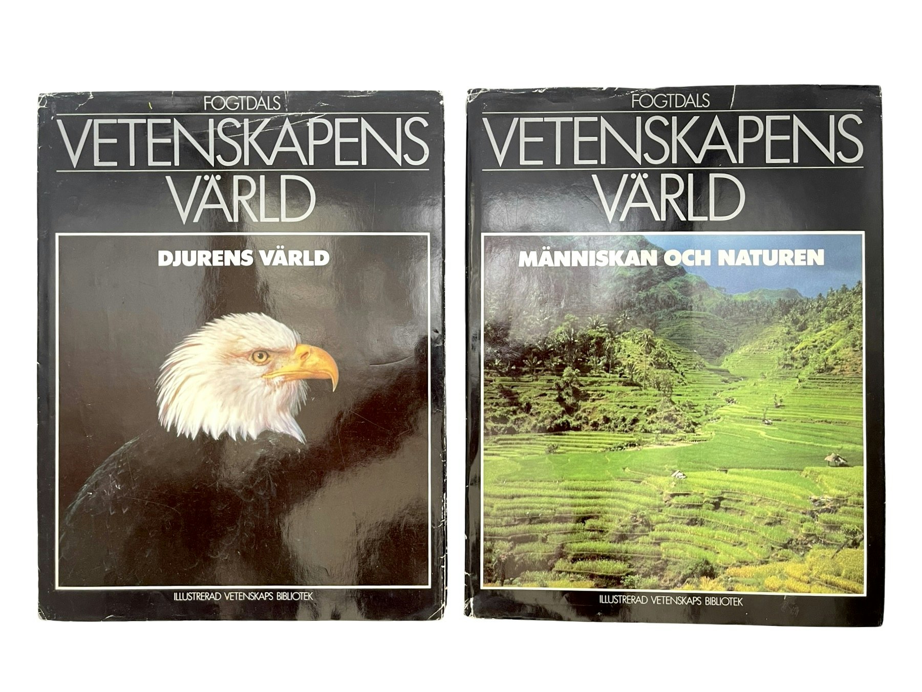 10 BÖCKER Vetenskapens Värld