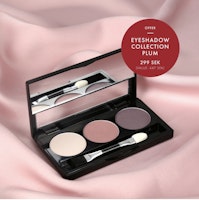 Eyeshadow Collection Plum