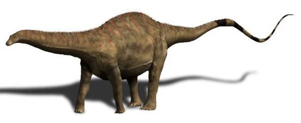 Rebbachisauridtänder 2 st (Sauropod/Långhals)