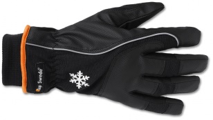 Vinterfordrad vattentät handske strl 9