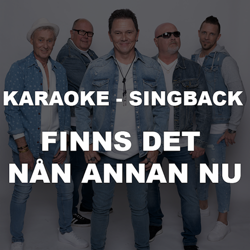Singback - Finns det nån annan nu (Nerladdning)