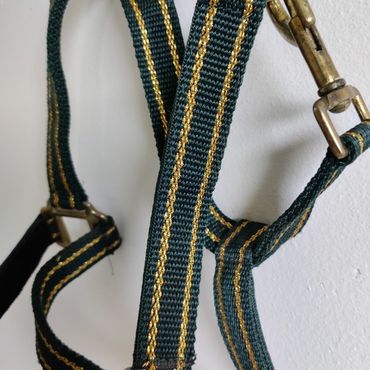 Nylongrimma grön/guld COB