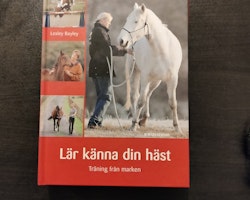 Lär känna din häst