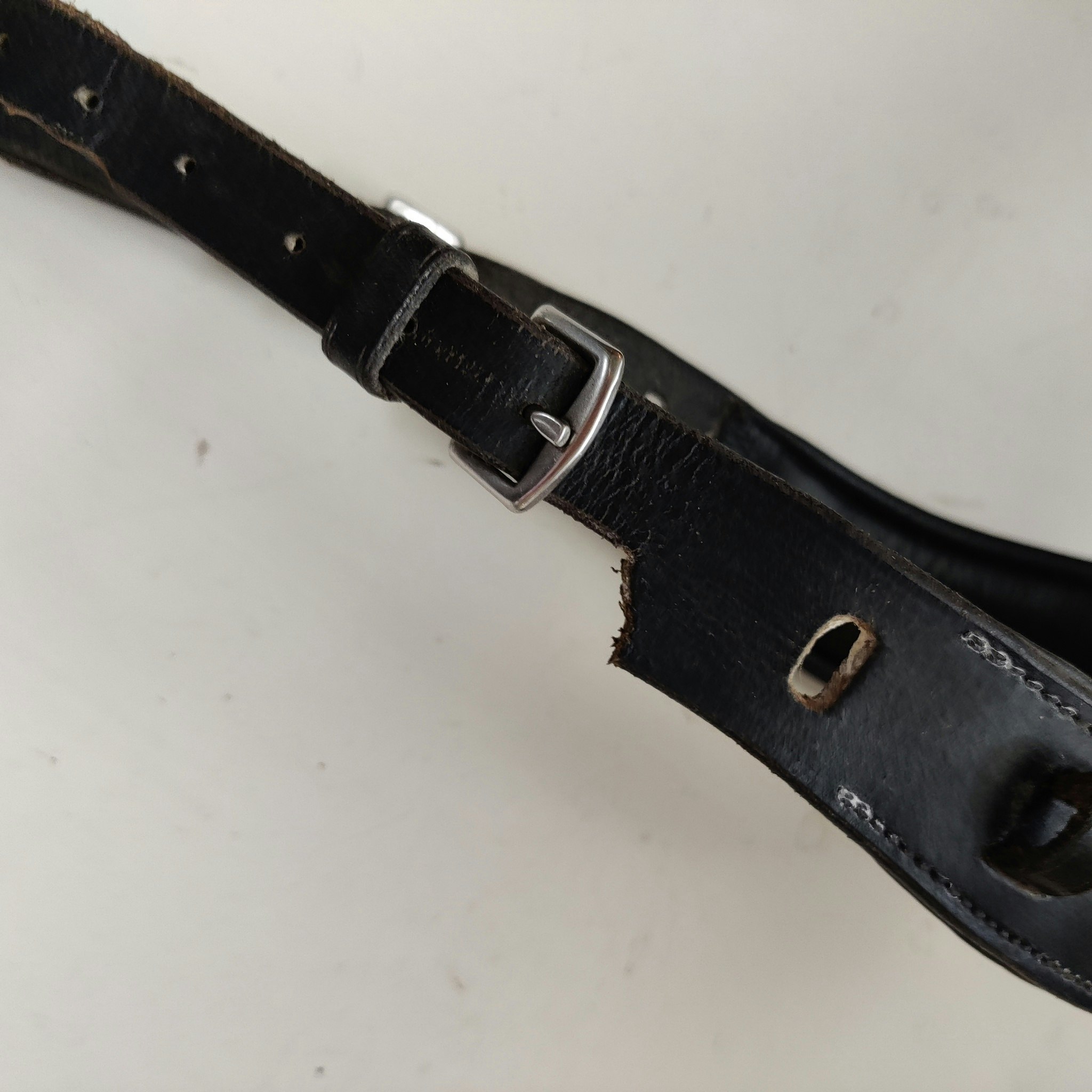 Hackamore FULL