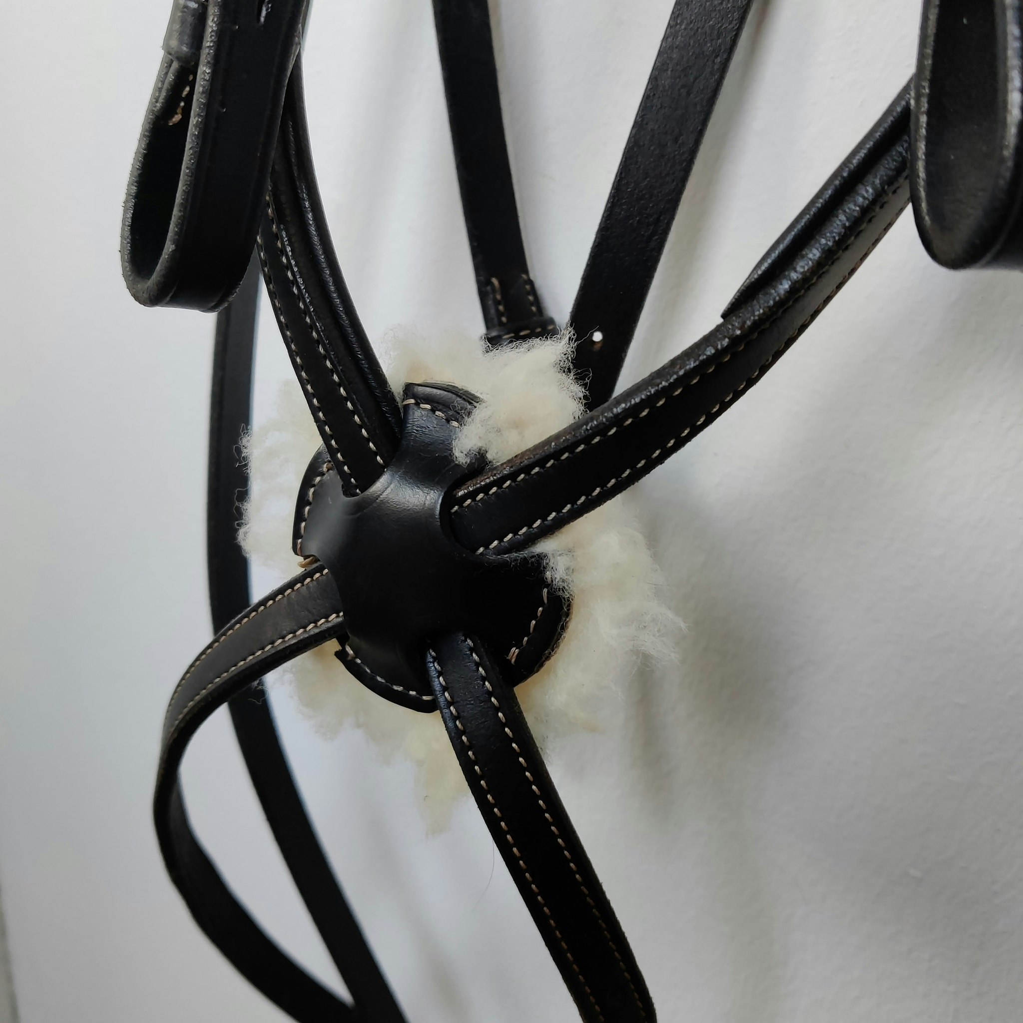 Träns med pullargrimma utan pannband COB