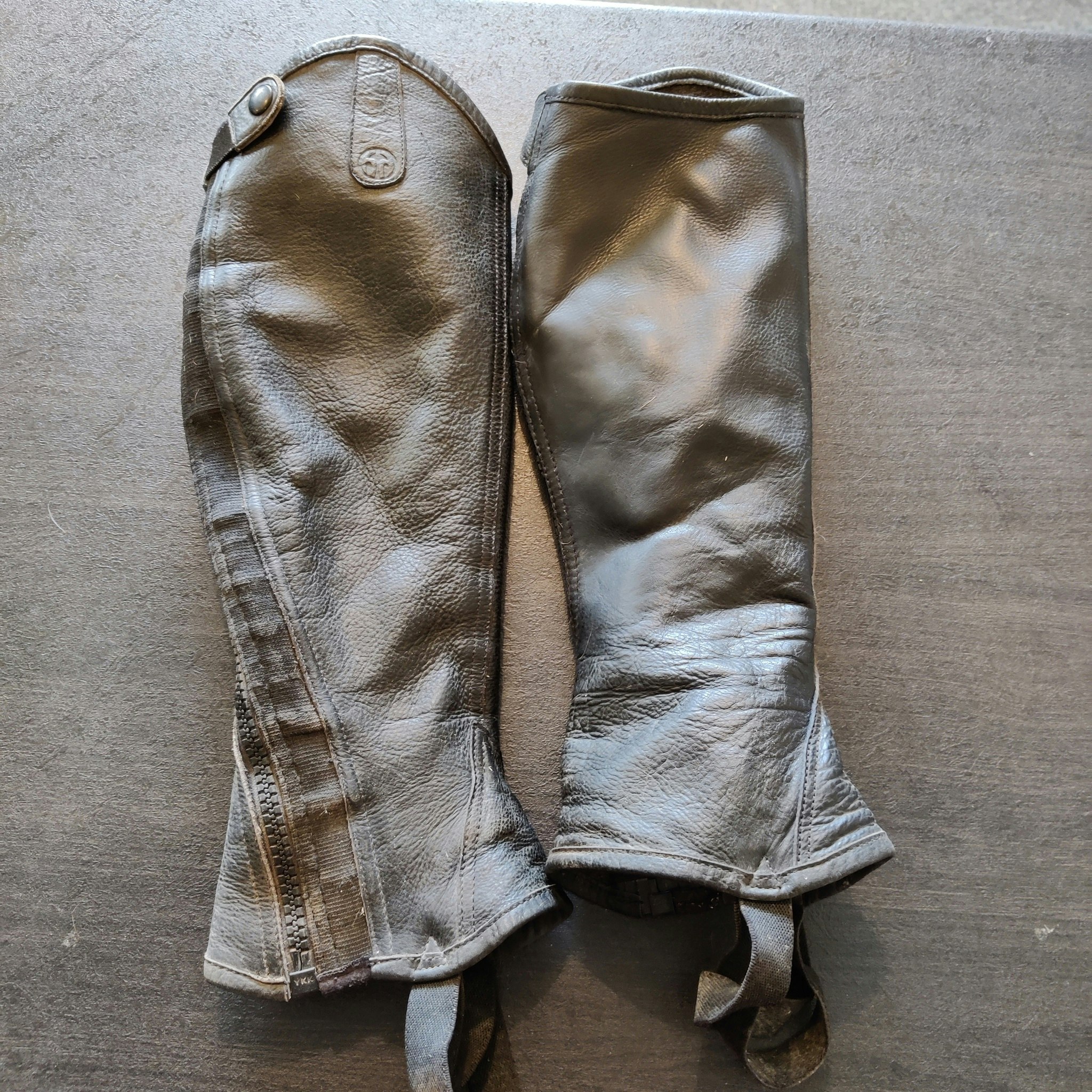 Svarta shortchaps XS Horsehead