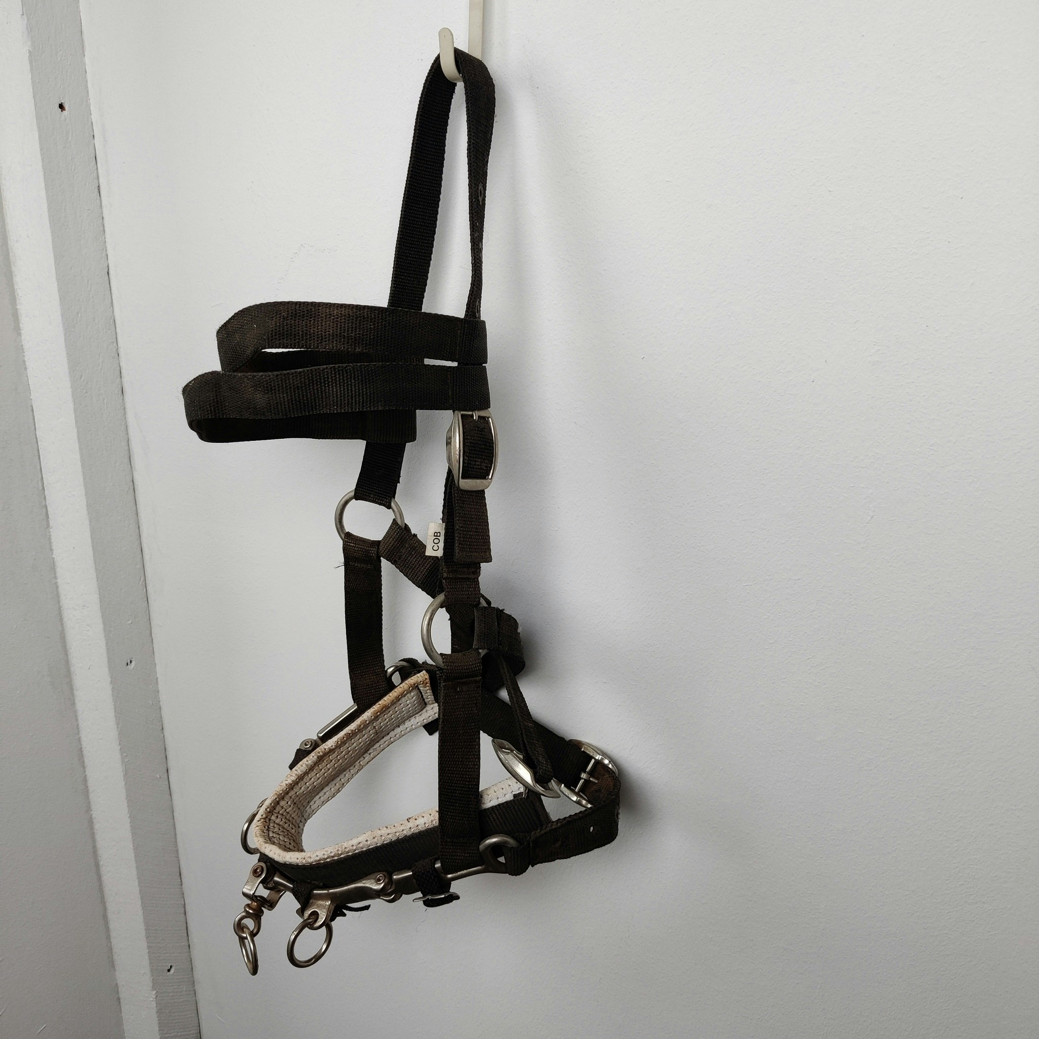 Svart kapson COB