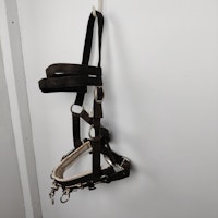 Svart kapson COB