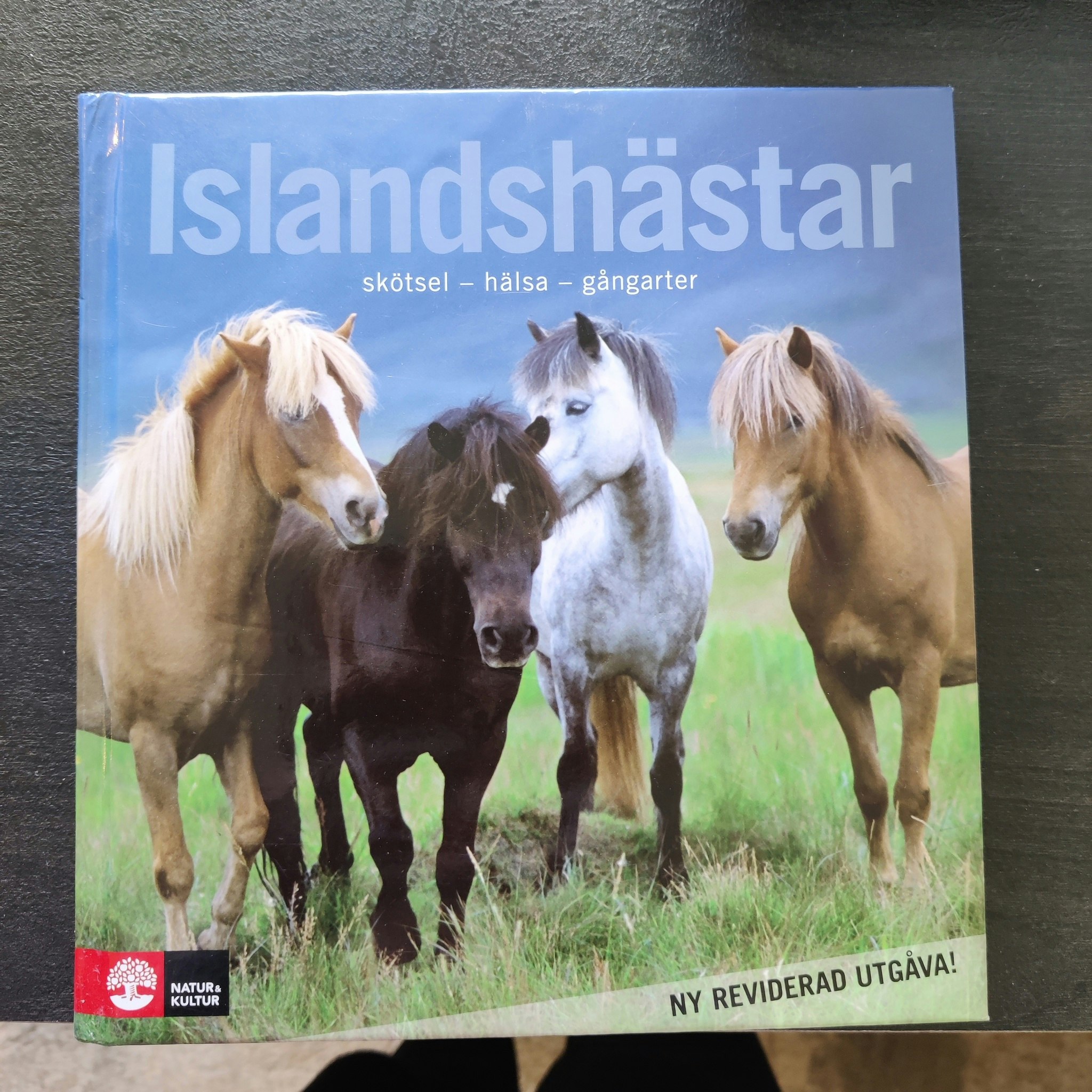 Islandshästar