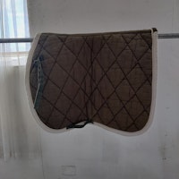 Grönt dressyrschabrak BR FULL