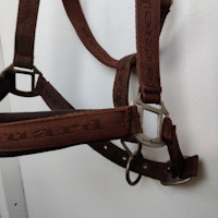Brun grimma Horseguard FULL