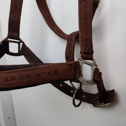 Brun grimma Horseguard FULL