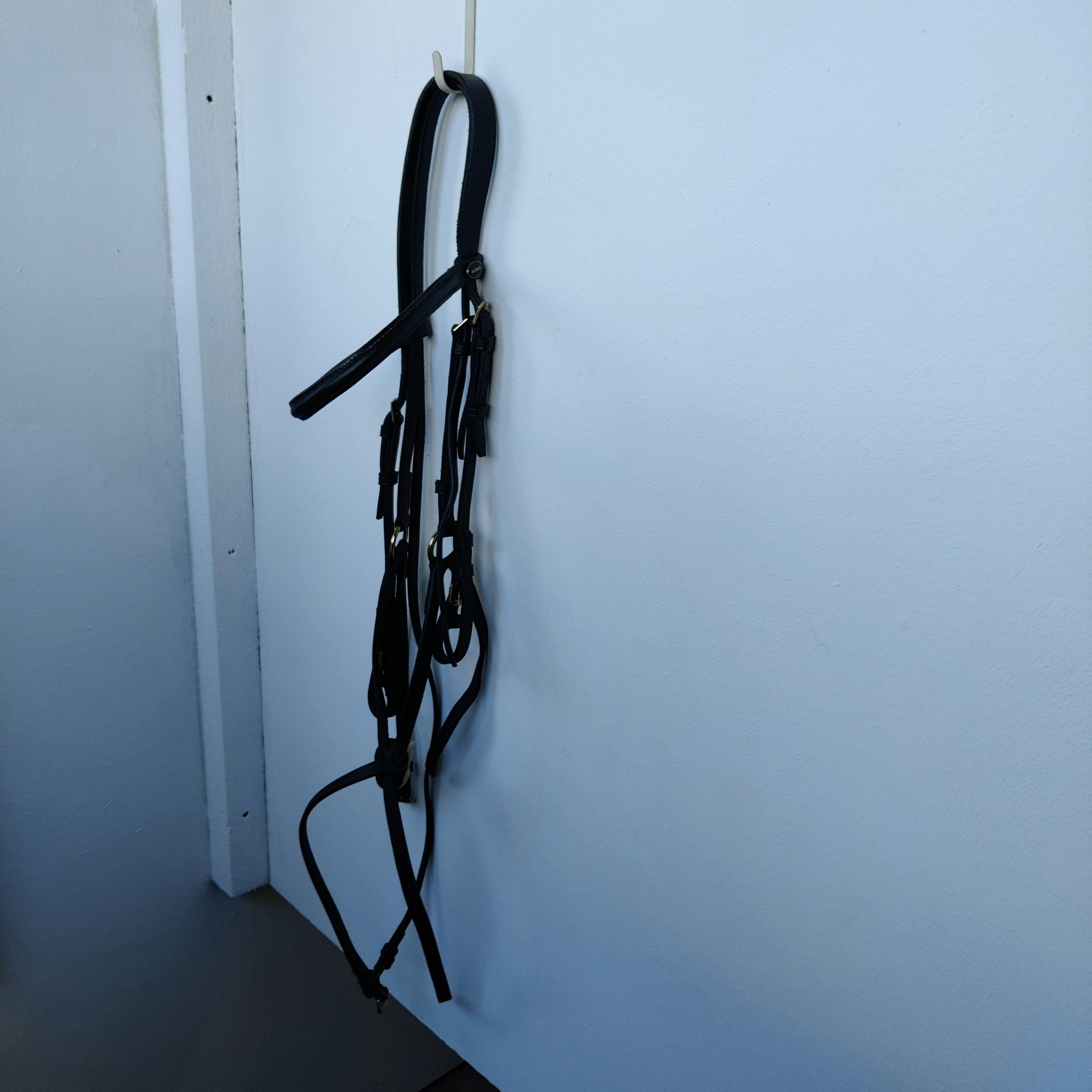 Svart träns med pullarnosgrimma Globus FULL