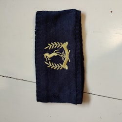 Blått pannband