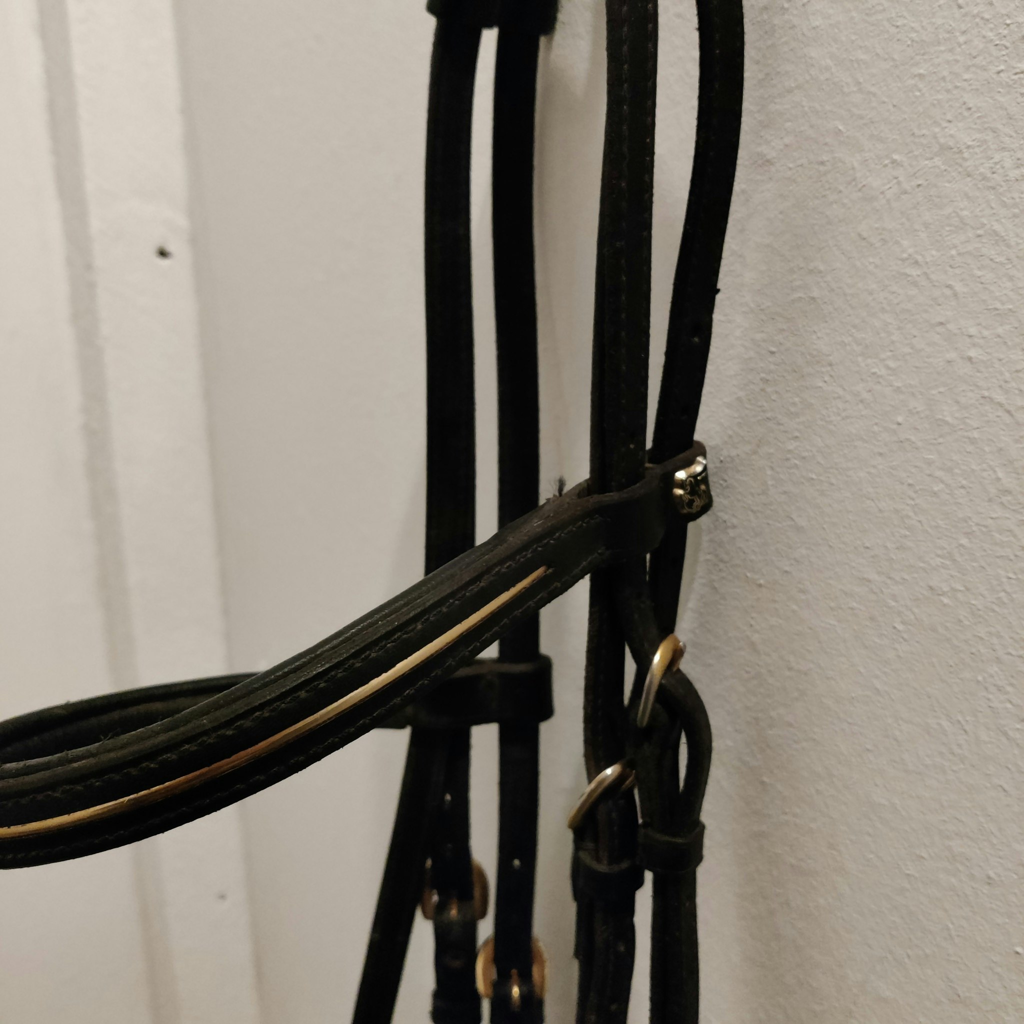 Svart träns med gulddekor FULL