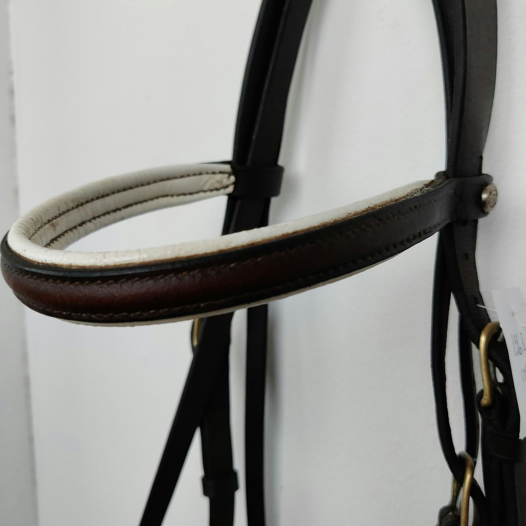Brunt träns med vit fodring Jacson COB