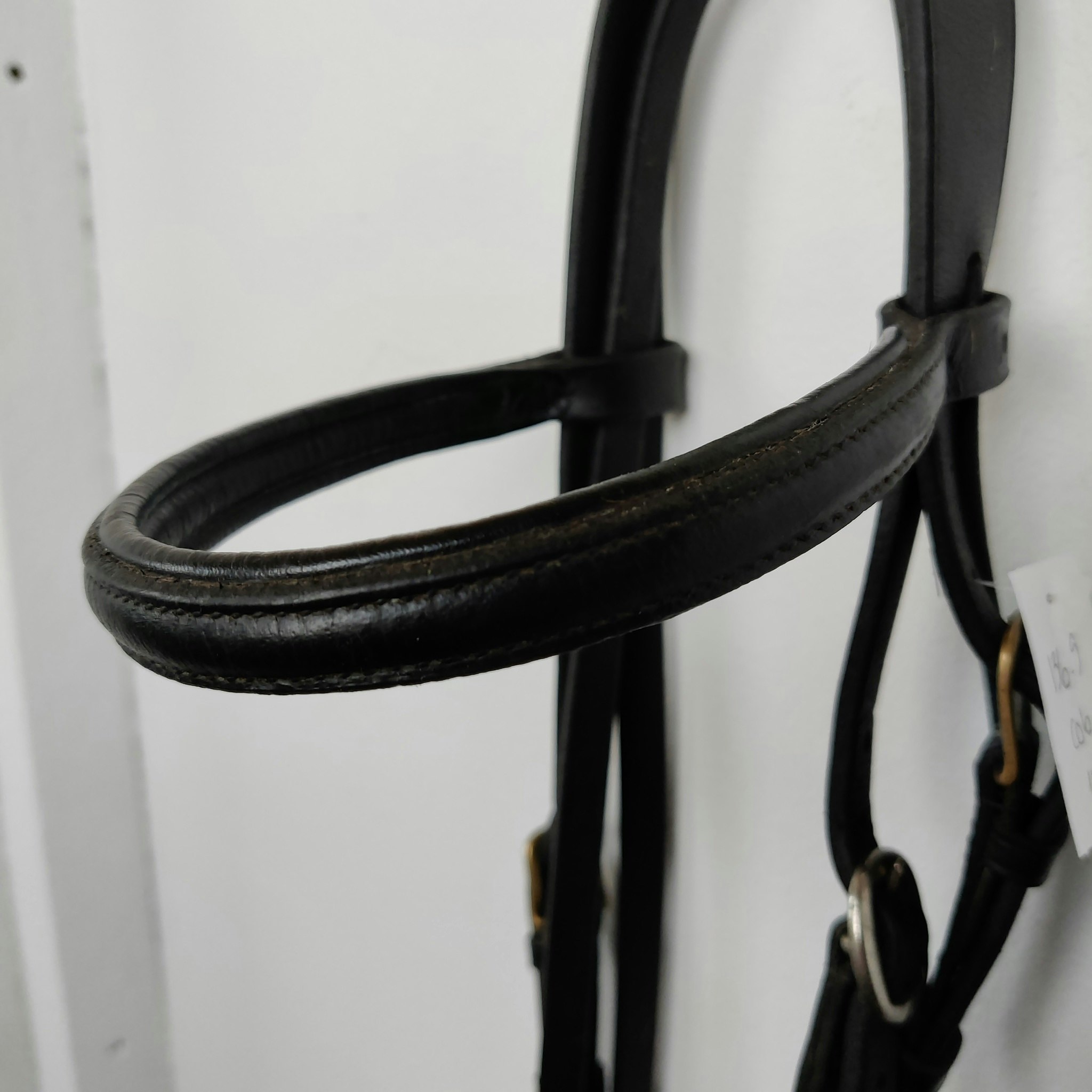 Svart träns  COB