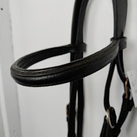 Svart träns  COB