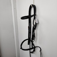 Svart träns  COB