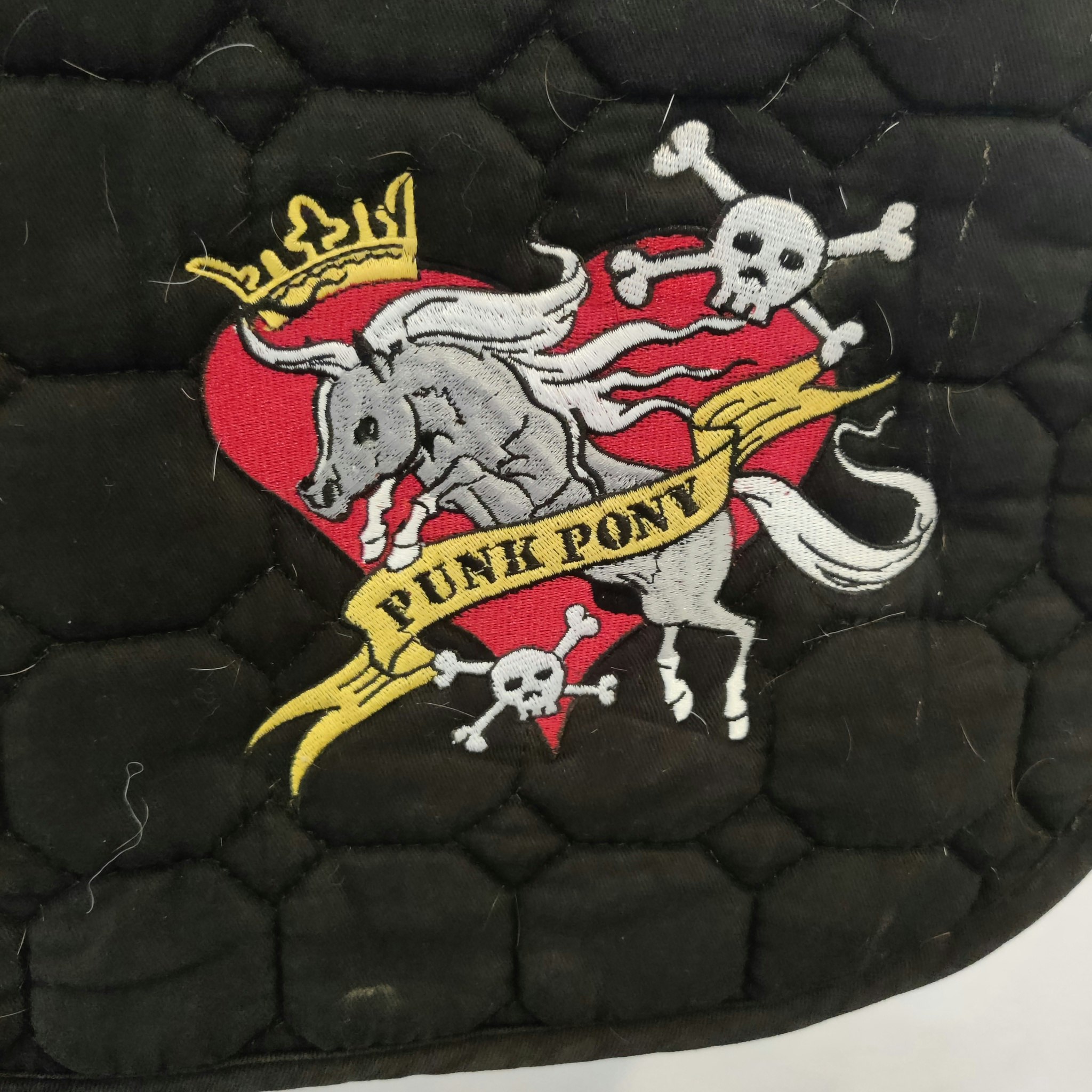 Svart schabrak "punk pony" COB