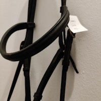 Svart träns COB