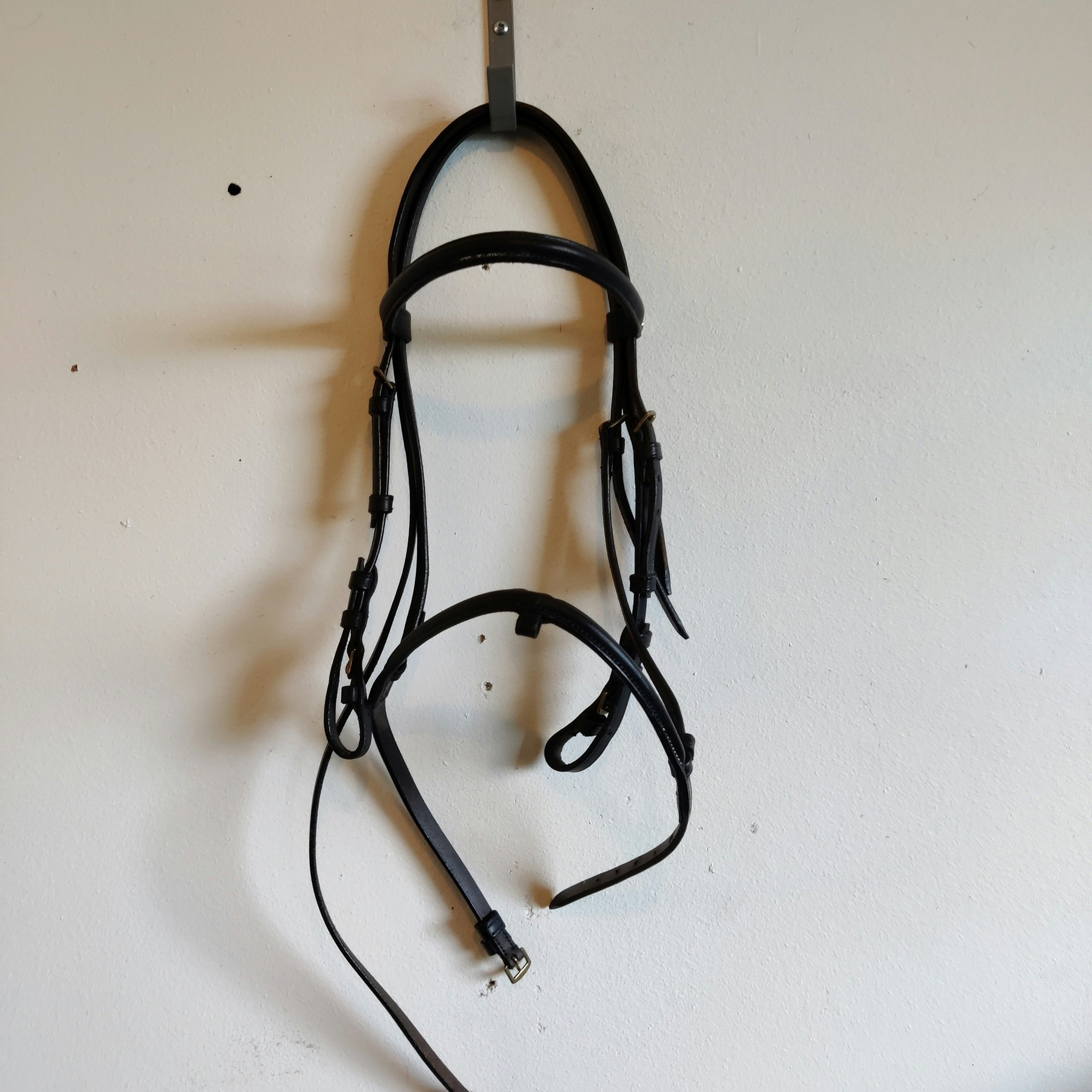 Svart träns Cheetak PONNY