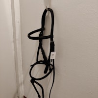 Svart träns COB