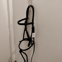 Svart träns COB