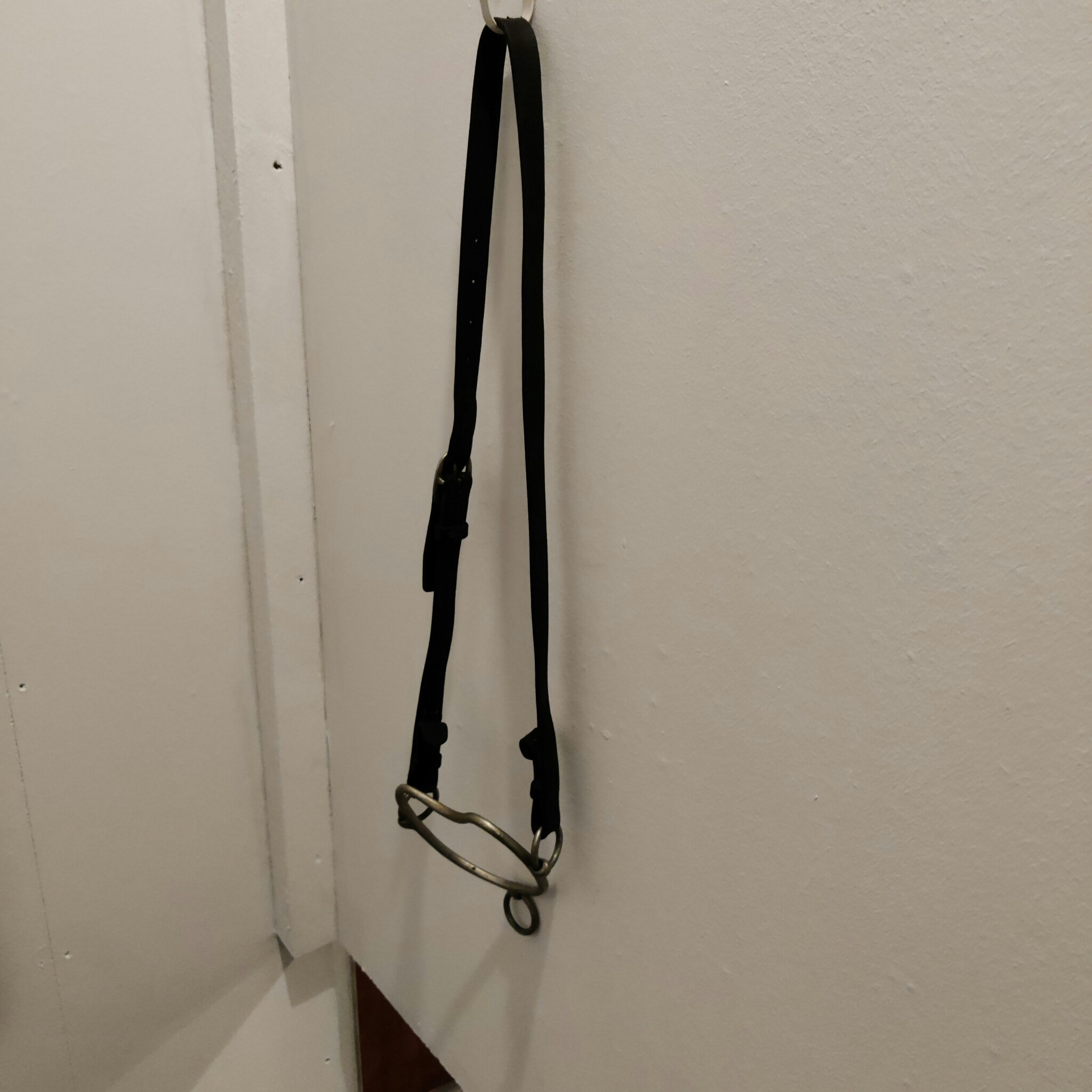 Stigbett med nackrem