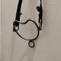 Stigbett med nackrem