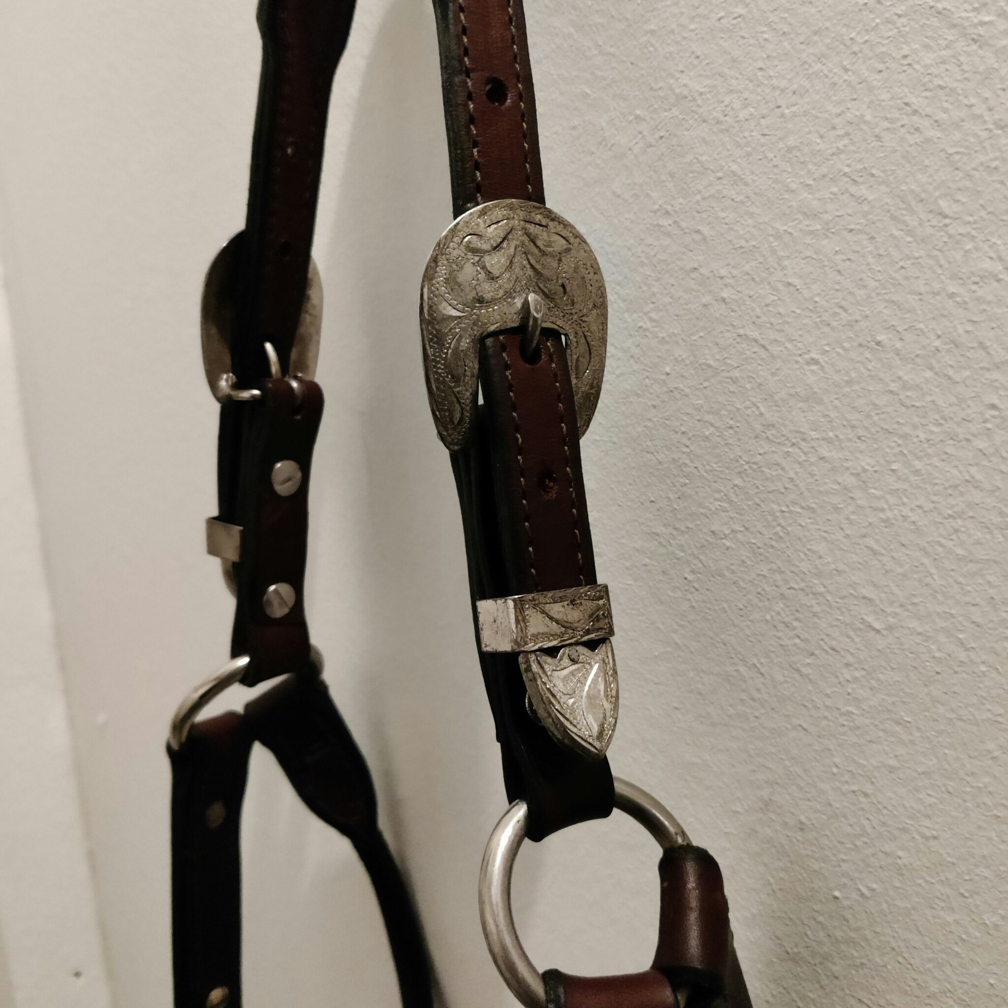 Brunt showhalter storlek yearling