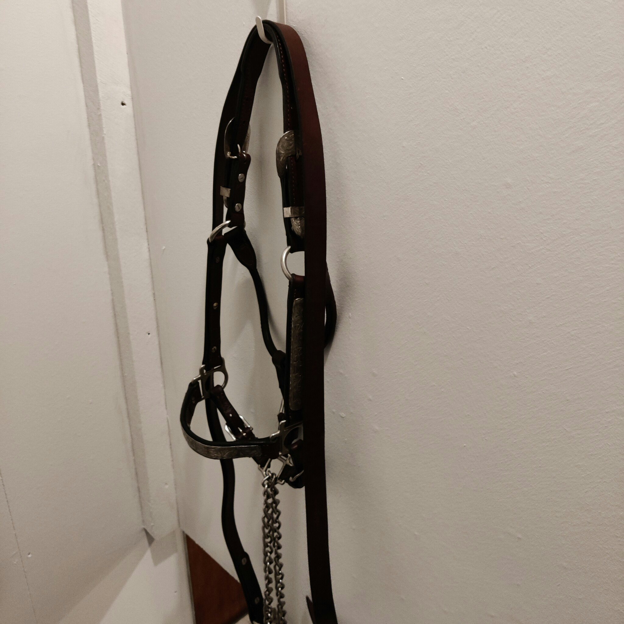 Brunt showhalter storlek yearling