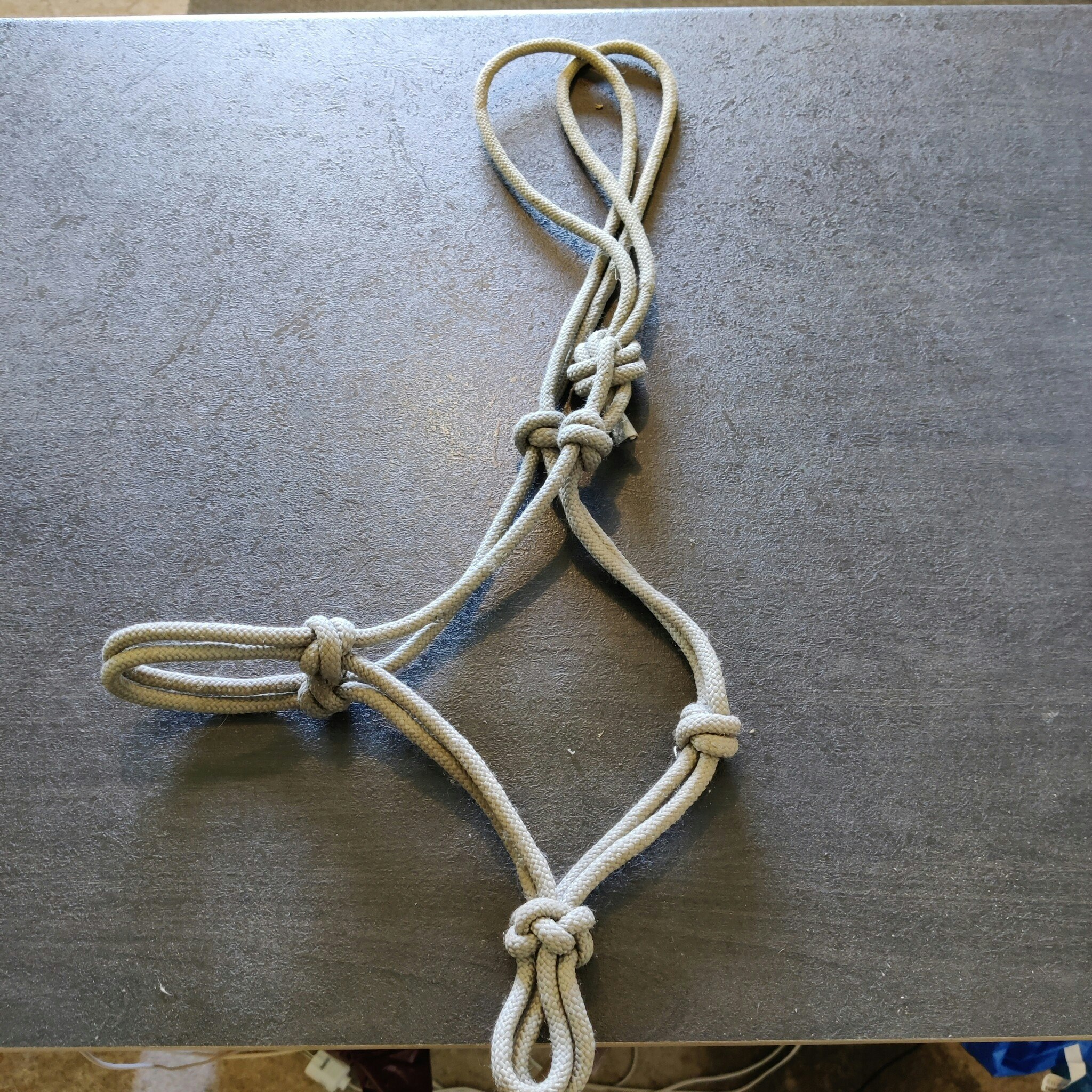 Grågrön repgrimma COB