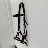 Brunt sidepull FULL