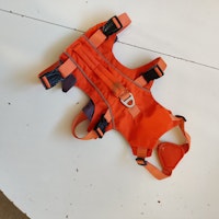Orange hundsele