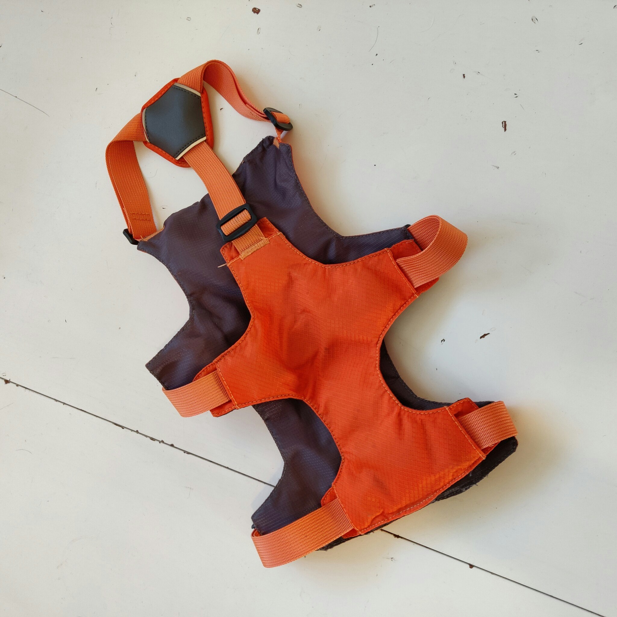 Orange hundsele