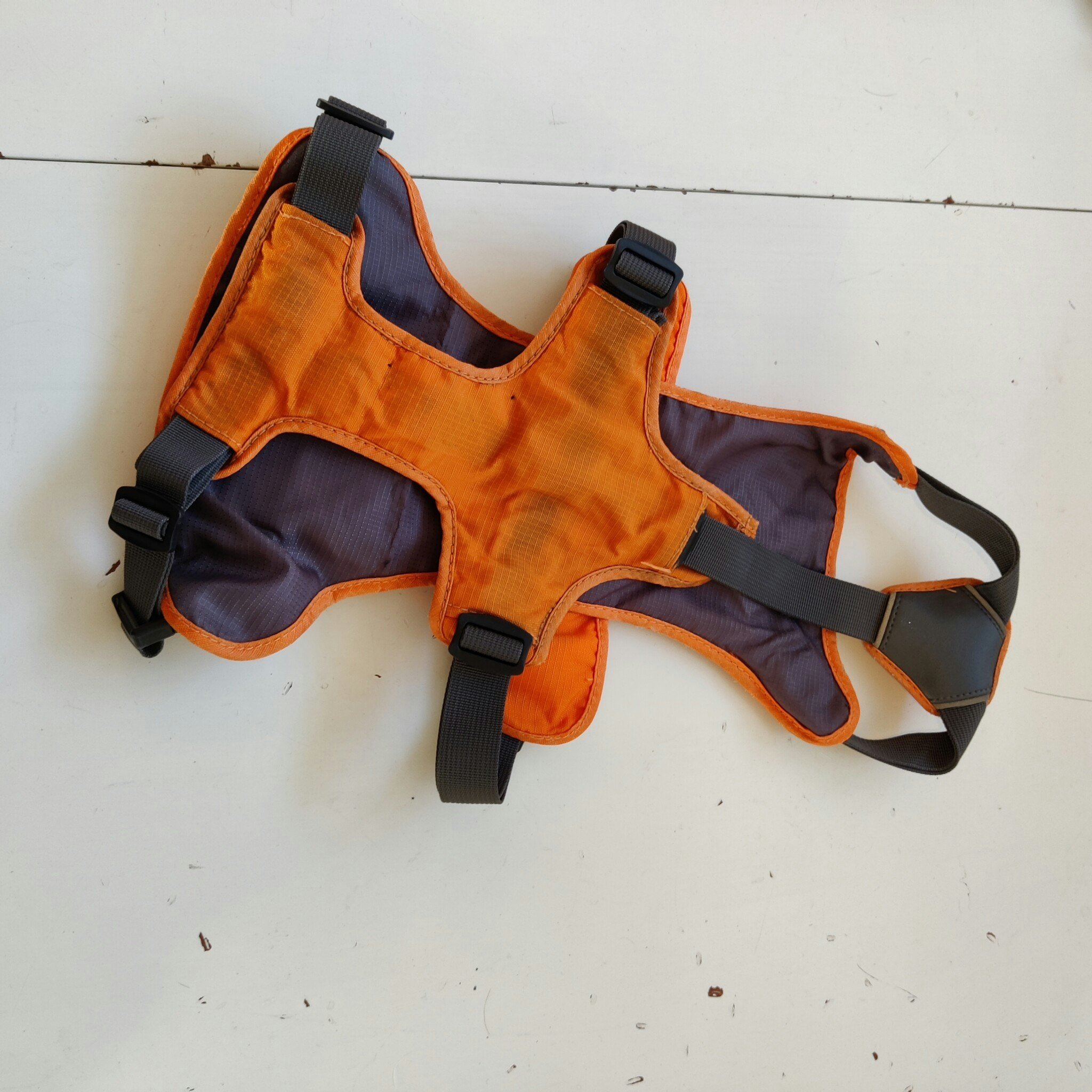 Orange hundsele