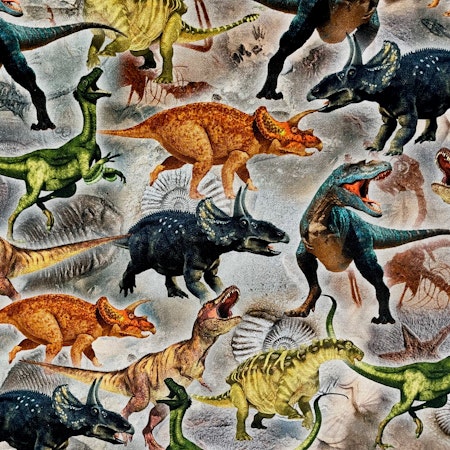 Dinosariecanvas