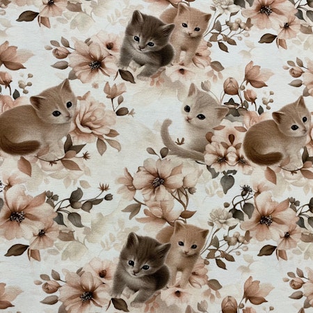 Kattungar