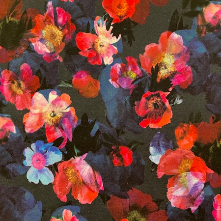 Joggingblommor Blå