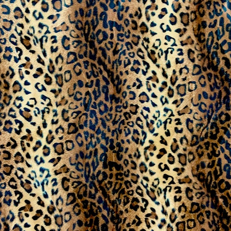 Leopardvelbour