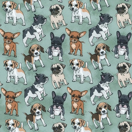 Dogge