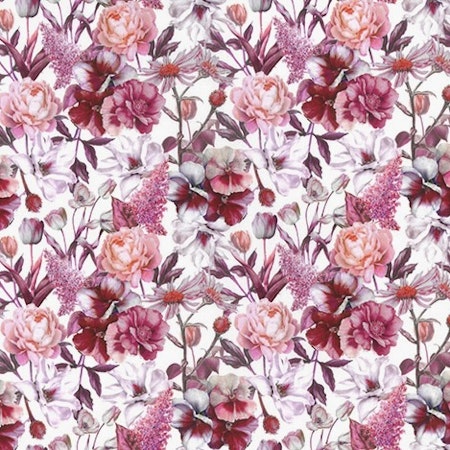 Blomrosa