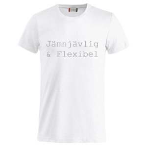 T-Shirt "Jämnjävlig & Flexibel"