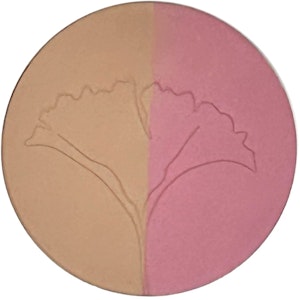 Duo Bronzer & Blush