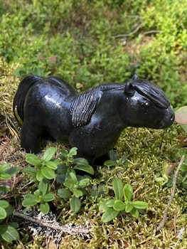 Svart nordsvensk knubbis