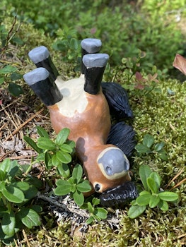 Rullande nordsvensk knubbis
