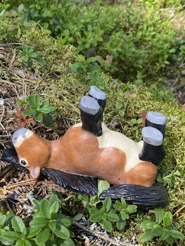 Rullande nordsvensk knubbis