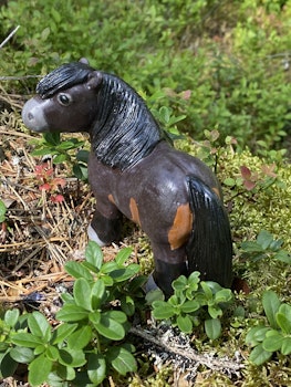 Mörkbrun nordsvensk knubbis